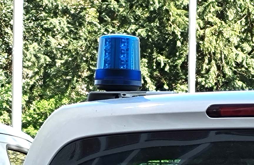Almanya'da 5 farklı eyalette Neonazi operasyonu