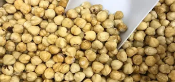Fındık yara iyileşmesini hızlandırıyor