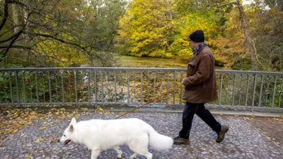 Almanya'da köpek sahipleri 2025’te 429,7 milyon Euro vergi ödedi Almanya'da köpek sahipleri 2025’te 429,7 milyon Euro vergi ödedi